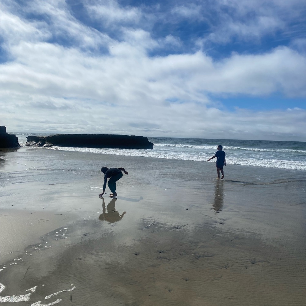 Meet your Posher, Rose